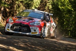 Procar Motorsport buona prova al 23° Rally Il Ciocchetto con Michelini