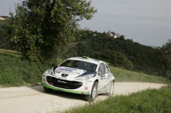Definito il calendario del Trofeo Rally Terra 2015. A giugno della prossima stagione i terraioli correranno insieme ai protagonisti del Campionato del Mondo Rally WRC